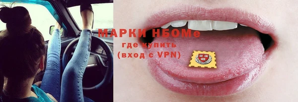 прущие грибы Алексеевка