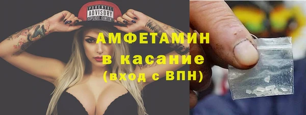 индика Алзамай