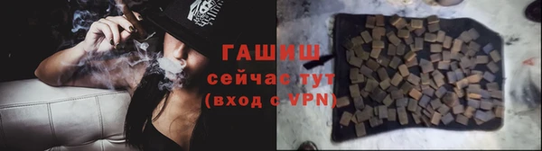 индика Алзамай
