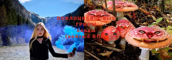 индика Алзамай