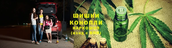 прущие грибы Алексеевка