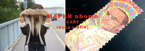 индика Алзамай