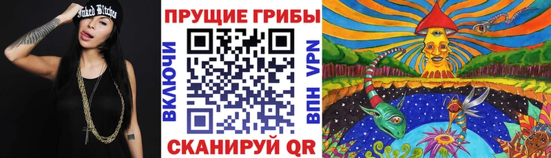 хочу   Сельцо  Галлюциногенные грибы мухоморы 